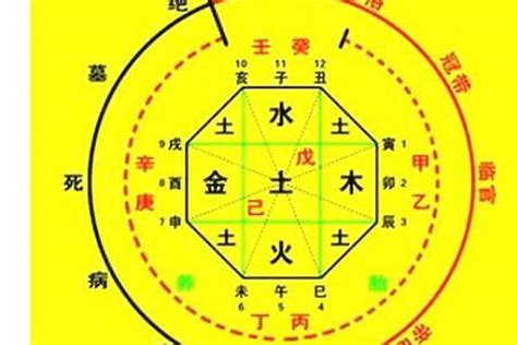 喜用神 查詢|生辰八字算命、五行喜用神查詢（免費測算）